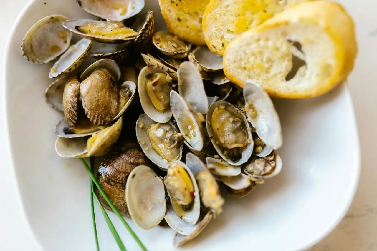 橙子不能与蛤蜊同食